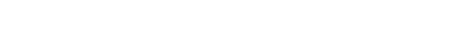 Leonico logo
