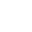 Leonico logo
